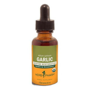 Garlic Extract - LIQUID - 4 oz dropper bottle Herb Pharm Supplement - Conners Clinic